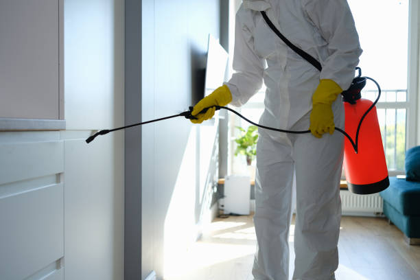 Biohazard Mold Removal in Missouri City, TX